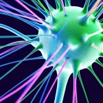 Visualizzazione artistica e fotorealistica delle connessioni corticopontine nel cervello umano. Fibre luminose di diversi colori (blu, verde, arancione) si intrecciano elegantemente su uno sfondo scuro, rappresentando i gradienti di connettività. L'immagine dovrebbe evocare la complessità e l'organizzazione delle vie neurali. Prime lens, 35mm, Depth of field, duotone ciano e magenta.