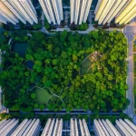Fotografia aerea con drone, obiettivo grandangolare 18mm, di un grande parco urbano tropicale (come Bishan-Ang Mo Kio a Singapore) incastonato tra alti edifici residenziali. Si vede chiaramente il confine tra il verde lussureggiante del parco e il cemento circostante. Luce del tardo pomeriggio che crea ombre lunghe dagli alberi, mettendo in risalto la frescura del parco. Focus nitido, colori vividi.