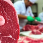 Photorealistic image, 35mm lens, high detail, depicting a cross-section of beef showing a Cysticercus bovis cyst alongside a blurred background of meat inspection activities in an Egyptian slaughterhouse, highlighting food safety.