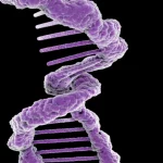 Photorealistic image of a complex RNA structure, highlighting a unique double-loop motif, macro lens, 100mm, high detail, controlled lighting.