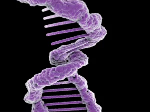 Photorealistic image of a complex RNA structure, highlighting a unique double-loop motif, macro lens, 100mm, high detail, controlled lighting.