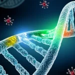 Visualizzazione artistica e fotorealistica di una doppia elica di DNA umano con una specifica regione enhancer (VNTR dell'N-caderina) che si illumina, simboleggiando l'attivazione genica. Sfondo scuro per far risaltare i dettagli del DNA, con molecole di fattori di trascrizione stilizzate che si avvicinano. Obiettivo prime, 35mm, con profondità di campo per focalizzare sull'enhancer.