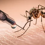 Primo piano macro di una zanzara Aedes su pelle umana accanto a una goccia di vaccino che cade da una siringa, illuminazione drammatica controllata, alta definizione, lente macro 100mm, messa a fuoco precisa sulla zanzara e la goccia di vaccino.