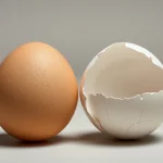 Un uovo intatto posizionato orizzontalmente accanto a un uovo rotto con il classico pattern di rottura verticale, su uno sfondo neutro da laboratorio. Illuminazione da studio diffusa per enfatizzare le differenze strutturali e la fragilità del guscio. Obiettivo macro 60mm, alta definizione, messa a fuoco precisa sulle crepe e sulla texture del guscio intatto.