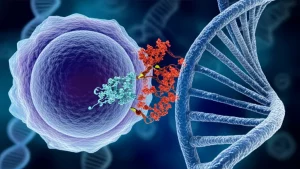 Visualizzazione artistica e fotorealistica dell'interazione tra la proteina CTCF (struttura complessa e dettagliata) e un filamento di RNA all'interno del nucleo di una cellula leucemica. Il DNA è visibile sullo sfondo, avvolto in cromatina. Illuminazione drammatica con fasci di luce che evidenziano le molecole, obiettivo macro 90mm, alta definizione, colori scientificamente accurati ma vibranti per un effetto coinvolgente.