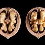 Immagine fotorealistica, obiettivo macro, 105mm, di una noce del Kazakistan spaccata che rivela il suo gheriglio intricato. Una metà rappresenta una forma selvatica, leggermente irregolare, l'altra una forma coltivata, più uniforme. Alto dettaglio, messa a fuoco precisa, illuminazione da studio controllata per evidenziare le texture e il contrasto tra selvatico e coltivato, simboleggiando lo studio genetico.