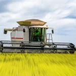 Una mietitrebbia all'avanguardia che raccoglie riso boro in un campo lussureggiante dell'ecosistema Haor in Bangladesh, sotto un cielo parzialmente nuvoloso. La scena è ripresa con un obiettivo grandangolare da 24mm per catturare l'ampiezza del paesaggio agricolo e la macchina in azione, con un leggero effetto di motion blur sulla mietitrebbia per indicare il movimento. Illuminazione naturale diffusa.