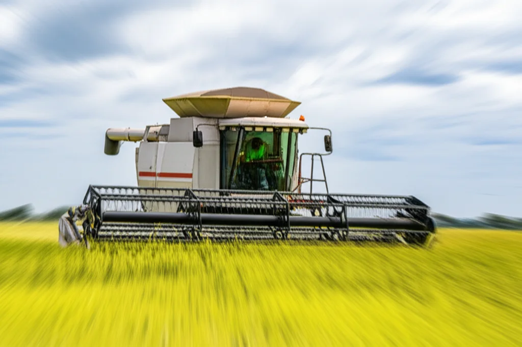 Una mietitrebbia all'avanguardia che raccoglie riso boro in un campo lussureggiante dell'ecosistema Haor in Bangladesh, sotto un cielo parzialmente nuvoloso. La scena è ripresa con un obiettivo grandangolare da 24mm per catturare l'ampiezza del paesaggio agricolo e la macchina in azione, con un leggero effetto di motion blur sulla mietitrebbia per indicare il movimento. Illuminazione naturale diffusa.