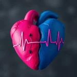 Immagine concettuale che rappresenta la disparità di genere nella salute del cuore. Un cuore stilizzato diviso a metà, una parte blu scuro (maschile) e una rosa acceso (femminile), con linee grafiche simili a un elettrocardiogramma sovrapposte su entrambe le metà. Macro lens 60mm, high detail sul cuore e sulle linee ECG, controlled lighting drammatica che enfatizza la divisione, sfondo grigio neutro sfocato.