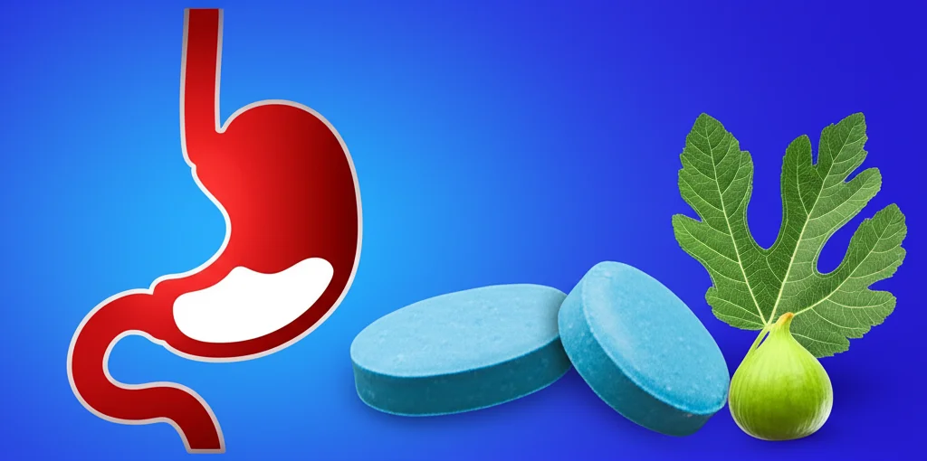 Immagine concettuale di sollievo dal bruciore di stomaco: una silhouette di uno stomaco che passa da un colore rosso infiammato a un blu calmante, con compresse di Refluthin e foglie di fico d'India stilizzate. Illuminazione drammatica, obiettivo macro 60mm per dettaglio sulle compresse, sfondo astratto.