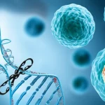 Visualizzazione artistica del processo di editing genetico CRISPR-Cas su cellule staminali pluripotenti umane, con focus sul DNA a doppia elica modificato e sulle cellule differenziate risultanti (epatociti poligonali e isole pancreatiche sferiche). Obiettivo macro 80mm, alta definizione, illuminazione controllata, sfondo sfocato per profondità di campo.