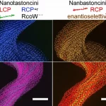 Immagine fotorealistica, obiettivo macro 100mm, che mostra nanobastoncini di Selenio enantioselettivi con chiralità atomica visibile (rappresentazione astratta elicoidale sinistra e destra). Interagiscono con fasci di luce polarizzata circolarmente (LCP/RCP visualizzati come spirali colorate distinte), dimostrando stabilità e capacità di rilevamento a banda larga per applicazioni chiroptoelettroniche. Alta definizione, messa a fuoco precisa, illuminazione da studio controllata.