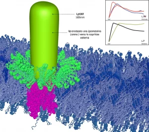 Illustrazione fotorealistica di una sezione della membrana esterna di un batterio Gram-negativo, macro lens 100mm, che mostra il complesso LptDE mentre trasporta una lipoproteina (come LptM) verso la superficie esterna, con dettagli molecolari precisi e illuminazione controllata per evidenziare le interazioni proteina-lipide.