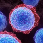 Visualizzazione 3D fotorealistica di cellule di epatocarcinoma (HCC) con la proteina USP18 evidenziata in modo prominente in colore rosso brillante, che interagisce con le membrane del reticolo endoplasmatico (in blu traslucido). Dettagli cellulari ad alta definizione, illuminazione drammatica da laboratorio che crea ombre profonde, obiettivo macro 90mm, profondità di campo ridotta per focalizzare sull'interazione USP18-ER.