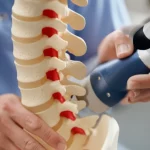 Photorealistic image of a medical professional examining a spine model with a small ultrasound probe, macro lens, 60mm, controlled lighting.
