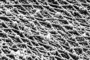 Primo piano di una struttura di eterogiunzione CoOx-CeO2-y/C su scala nanometrica, con dettagli cristallini visibili, che interagisce con molecole di Li2S, obiettivo macro 90mm, illuminazione da studio per massima nitidezza, evidenziando la sinergia catalitica e la deposizione uniforme di Li2S.