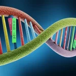 Visualizzazione artistica e fotorealistica dell'evoluzione dei centromeri nelle Salicaceae, mostrando filamenti di DNA con elementi trasponibili (TE) e satelliti (TRA) che si riorganizzano su cromosomi stilizzati di pioppo e salice, obiettivo macro 70mm, alta definizione, illuminazione drammatica che evidenzia il dinamismo.