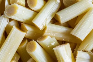 Fotografia macro, 60mm, di pezzi di canna da zucchero fresca e tritata, con goccioline di succo visibili, pronti per la fermentazione allo stato solido. Alto dettaglio sulla fibra e sulla consistenza umida, illuminazione controllata che enfatizza la naturalità della materia prima.