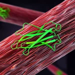 Immagine concettuale della proteina Tau (struttura molecolare stilizzata) che interagisce con le strutture interne di una cellula di Sarcoma di Ewing, visualizzazione dettagliata, illuminazione drammatica controllata, lente macro 60mm, focus selettivo sull'interazione proteina-cellula.
