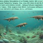 Ricostruzione artistica fotorealistica di un fondale marino del periodo Siluriano sulla Piattaforma Yangtze, Cina, circa 430 milioni di anni fa. Si vedono invertebrati marini come trilobiti e crinoidi, e nell'acqua fluttuano organismi planctonici, inclusi chitinozoi concettuali a forma di fiasco. Wide-angle lens, 20mm, luce subacquea soffusa e diffusa, sharp focus sugli elementi in primo piano, colori tenui blu-verdi.