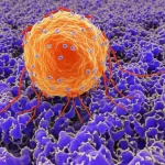 Visualizzazione artistica 3D del virus Chikungunya che interagisce con la membrana plasmatica di una cellula ospite, evidenziando la formazione di sferule di replicazione in corrispondenza di zone ad alta curvatura. La proteina nsP1 è mostrata mentre si assembla in queste zone. Illuminazione drammatica, stile fotorealistico, obiettivo macro 60mm, alta definizione dei dettagli virali e della membrana.