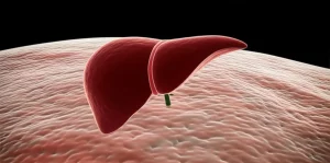 Immagine concettuale fotorealistica: una goccia di sangue ingrandita che cade su un'immagine stilizzata di un fegato sano che si trasforma gradualmente in un fegato grasso. Illuminazione drammatica, obiettivo macro 90mm, alto dettaglio sulla goccia e sulla texture del fegato, per simboleggiare come un biomarcatore (CLR) possa indicare lo stato del fegato (NAFLD).