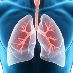 Immagine concettuale che illustra la connessione tra polmoni affetti da BPCO, rappresentati con una texture danneggiata e opaca, e muscoli indeboliti dalla sarcopenia, visualizzati come fibre diradate e fragili, in un adulto. Wide-angle, 10mm, sharp focus, illuminazione drammatica laterale per evidenziare la serietà della condizione e la fragilità, con un leggero effetto vignettatura.