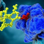 Immagine concettuale di una molecola di Alendronato che interagisce con la struttura proteica del parassita Trichinella spiralis, visualizzazione scientifica 3D, macro, 100mm, alta definizione, illuminazione drammatica che evidenzia l'interazione, sfondo scuro con elementi biologici stilizzati.