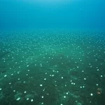 Immagine fotorealistica di un antico fondale oceanico durante la transizione Eocene-Oligocene, con fioriture di fitoplancton calcareo (Clausicoccus subdistichus) visibili nell'acqua sovrastante e accenni alla formazione di ghiaccio antartico in lontananza. Obiettivo grandangolare 18mm, lunga esposizione per acque lisce, messa a fuoco nitida sul plancton e sul fondale, illuminazione subacquea suggestiva.