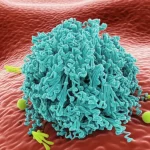 Visualizzazione artistica di una proteina CD55 sulla superficie di una cellula T umana, che interagisce con segnali immunitari, stile macrofotografia 60mm, alto dettaglio, illuminazione controllata, simboleggiando la sua azione regolatrice e soppressiva nel COVID-19.