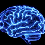 Illustrazione astratta del cervello umano con percorsi neurali luminosi che si intersecano, alcuni più brillanti (apprendimento consolidato) e altri che mostrano difficoltà (interferenza anterograda) quando un nuovo percorso tenta di formarsi. Wide-angle lens, 20mm, long exposure per enfatizzare i percorsi luminosi, focus nitido sulle intersezioni.