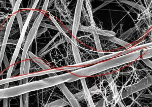 Immagine artistica e scientifica che mostra la struttura molecolare di chitosano e nanocristalli di cellulosa con sovrapposti grafici degli indici di rifrazione (n) e dei coefficienti di estinzione (k) nell'infrarosso, ottenuti tramite analisi Kramers-Kronig. Macro lens, 80mm, high detail, precise focusing, controlled lighting, sfondo scuro per contrasto.