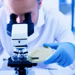 Immagine fotorealistica di un ricercatore in camice bianco che osserva al microscopio una piastra di Petri contenente ovuli e spermatozoi, luce focalizzata sulla piastra, sfondo del laboratorio leggermente sfocato, obiettivo 50mm, profondità di campo.