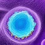 Visualizzazione artistica del cervello con focus sugli oligodendrociti e sulla guaina mielinica. Un'area mostra l'accumulo di alfa-sinucleina (in rosso brillante) all'interno di un oligodendrocita (in blu), con la mielina circostante che appare frammentata (in giallo). Sullo sfondo, microglia attivate (in viola). Lente macro 80mm, alta definizione, illuminazione drammatica per evidenziare le strutture patologiche, colori vividi e contrastanti.