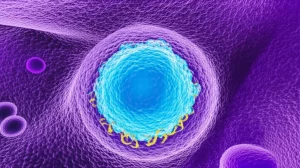 Visualizzazione artistica del cervello con focus sugli oligodendrociti e sulla guaina mielinica. Un'area mostra l'accumulo di alfa-sinucleina (in rosso brillante) all'interno di un oligodendrocita (in blu), con la mielina circostante che appare frammentata (in giallo). Sullo sfondo, microglia attivate (in viola). Lente macro 80mm, alta definizione, illuminazione drammatica per evidenziare le strutture patologiche, colori vividi e contrastanti.