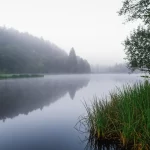 Grafico stilizzato della distribuzione Neutrosofica di Gompertz sovrapposto a un paesaggio naturale con elementi di incertezza (nebbia fitta su un lago calmo al mattino), obiettivo grandangolare 20mm, messa a fuoco nitida sul grafico in primo piano, lunga esposizione per acqua liscia e nebbia eterea.