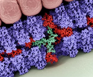 Immagine fotorealistica di un canale ionico TRPV3 inserito in una membrana cellulare, con molecole di poliammina (come la spermina) che interagiscono con l'ingresso intracellulare del poro. Alcune poliammine sono mostrate mentre bloccano il canale, che appare chiuso. L'immagine ha un'illuminazione drammatica e un elevato dettaglio molecolare. Macro lens, 60mm, high detail, precise focusing, controlled lighting.