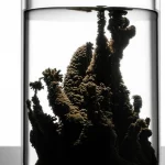 Vista drammatica di un 'chemical garden' di solfuro di ferro nero che cresce in un becher di laboratorio simulando le condizioni idrotermali della Terra primordiale. Obiettivo macro 90mm, illuminazione laterale controllata per enfatizzare la struttura e la texture dei precipitati minerali, alta definizione.