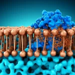 Visualizzazione astratta e scientifica del trasporto del rame attraverso una membrana cellulare stilizzata, con la proteina ATP7B evidenziata. Colori dominanti blu e rame metallico, alta definizione, illuminazione drammatica che enfatizza la struttura proteica, stile fotorealistico.