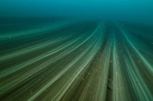 Immagine fotorealistica di una corrente oceanica profonda che scorre sopra il fondale marino dell'Atlantico settentrionale, con particelle di sedimento sospese nell'acqua scura. Utilizzare un obiettivo grandangolare (10-24mm) per dare un senso di vastità, con illuminazione direzionale che crea ombre e mette in risalto la texture del fondale. Long exposure per un effetto di movimento fluido dell'acqua.