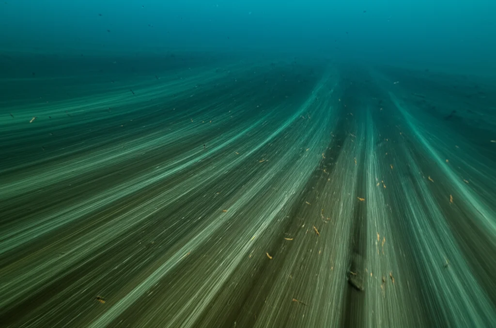 Immagine fotorealistica di una corrente oceanica profonda che scorre sopra il fondale marino dell'Atlantico settentrionale, con particelle di sedimento sospese nell'acqua scura. Utilizzare un obiettivo grandangolare (10-24mm) per dare un senso di vastità, con illuminazione direzionale che crea ombre e mette in risalto la texture del fondale. Long exposure per un effetto di movimento fluido dell'acqua.