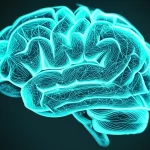 Visualizzazione concettuale di un cervello umano stilizzato con pattern di grafi luminosi simili al Goldner-Harary sovrapposti, a simboleggiare l'analisi EEG ispirata alla quantistica per la diagnosi dell'Alzheimer. Lente prime 50mm, profondità di campo, duotone ciano e magenta, illuminazione drammatica laterale, sfondo scuro e tecnologico.