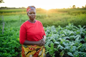 Fotografia di ritratto di una donna agricoltrice keniota forte e fiduciosa, in piedi nel suo campo di ortaggi indigeni africani (AIV) al tramonto. Prime lens, 50mm, profondità di campo ridotta per sfocare lo sfondo, luce dorata calda, espressione determinata.