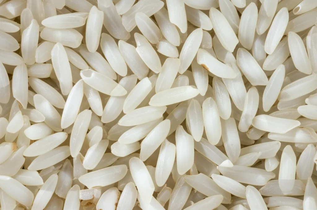 Macro lens, 100mm, high detail, precise focusing image of healthy, plump rice grains, representing high seed setting rate.