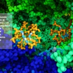 Fotoenzima ingegnerizzato illuminato da un fascio di luce visibile colorata (dal blu al verde) che ne evidenzia la struttura proteica complessa e il sensibilizzatore al tioxantone incastonato al suo interno. Sullo sfondo, molecole di substrato fluttuano, pronte per la trasformazione catalitica. Stile fotorealistico, illuminazione da studio drammatica, profondità di campo, obiettivo prime 35mm, dettagli molecolari.