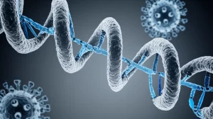 Immagine concettuale ad alto dettaglio di microRNA (piccole catene di RNA stilizzate) che interagiscono con cellule immunitarie (linfociti T e B visibili con dettagli di membrana) nel contesto della leucemia linfatica cronica, con un virus Epstein-Barr (struttura virale poliedrica) stilizzato in background. Scatto macro, obiettivo 100mm, illuminazione controllata per un effetto tridimensionale, duotone blu e grigio per un'atmosfera scientifica e d'impatto.