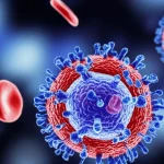 Visualizzazione artistica e fotorealistica di cellule CAR-T (linfociti T modificati geneticamente, con recettori stilizzati in rosso brillante) che si legano a cellule tumorali bersaglio (in blu scuro, di forma irregolare), con un accenno a cellule del sangue sane circostanti (globuli rossi e piastrine più piccole). L'immagine dovrebbe trasmettere sia la precisione della terapia sia la complessità del sistema ematologico. Utilizzare un obiettivo macro 90mm per dettagli estremi sulle interazioni cellulari, illuminazione da studio per un effetto drammatico ma chiaro, con un leggero effetto bokeh sullo sfondo per concentrare l'attenzione sull'interazione principale.
