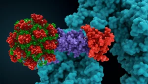 Un modello 3D fotorealistico della glicoproteina del virus Nipah, con piccole molecole inibitrici che si legano a un sito attivo specifico. Illuminazione da laboratorio controllata, obiettivo macro da 100mm per dettagli elevati, sfondo scuro e pulito per far risaltare il soggetto.