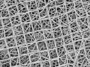 Immagine fotorealistica, lente macro, 100 mm, dettagli elevati, illuminazione controllata, raffigurante una complessa struttura biofilm batterica di Pantoea sp. YR343 su una superficie, che mostra il modello caratteristico a nido d'ape e le intricate reti flagellari, visualizzate attraverso l'imaging AFM avanzato.