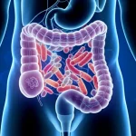 Visualizzazione artistica fotorealistica del microbiota intestinale con diversi tipi di batteri stilizzati (alcuni simili a Blautia, Bacteroides, Streptococcus) che interagiscono all'interno di un intestino umano trasparente, collegati da linee luminose a un'immagine olografica della ghiandola prostatica ingrossata (IPB), sfondo scuro high-tech con dati scientifici sfocati, obiettivo 35mm, profondità di campo, illuminazione suggestiva.